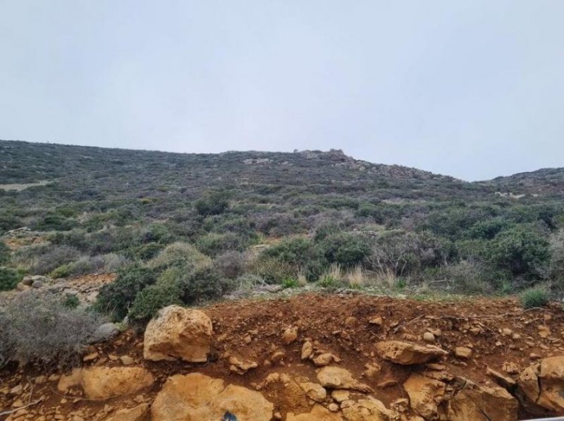 Plaka Elounda MIT VIDEO - Kreta, Plaka Elounda: Bauland mit Panoramablick auf das Meer zu verkaufen Grundstück kaufen